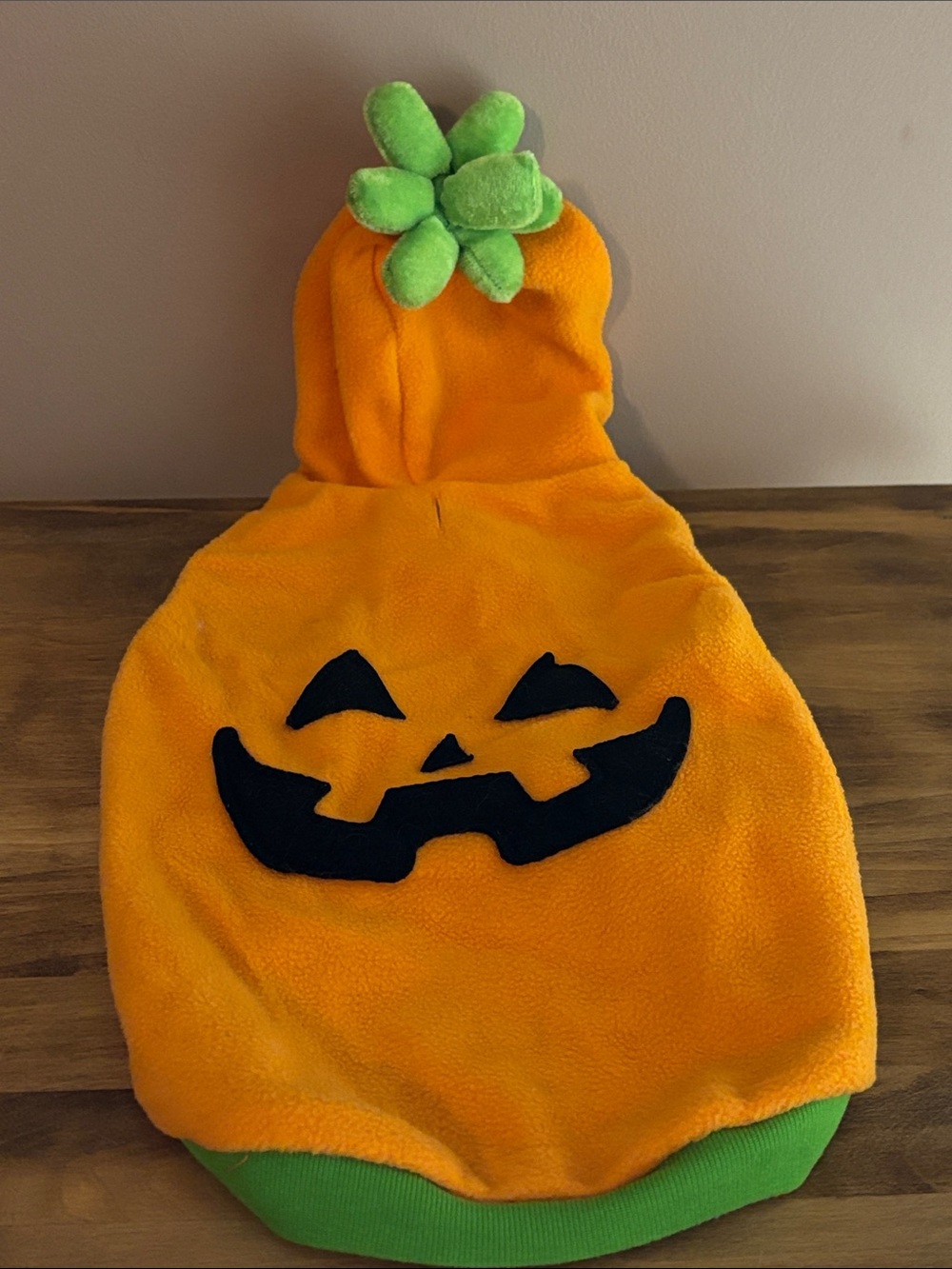 Orange Pumpkin Dog Hoodie with Green Stem Hood